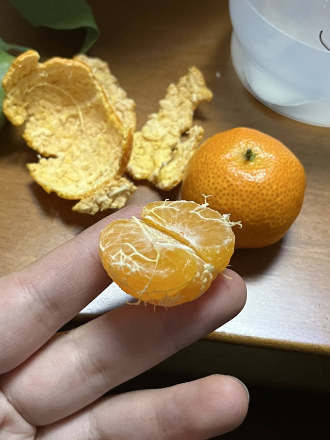 什谷丰橘/桔