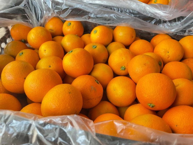 湖南麻阳锦蜜冰糖橙整箱