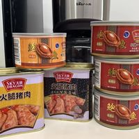 天龙 SKY DRAGON香港特产午餐肉鲍鱼罐头