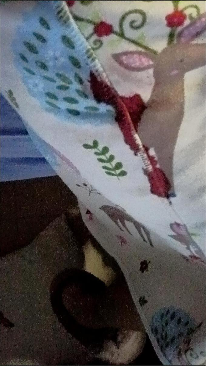 久爱久拉拉裤