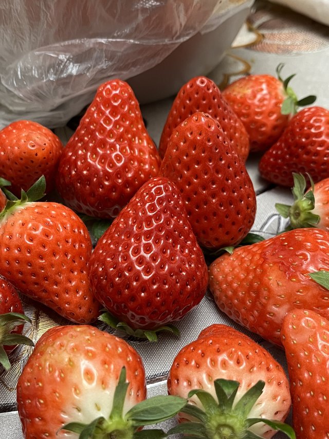 丹东99大草莓🍓冲冲冲