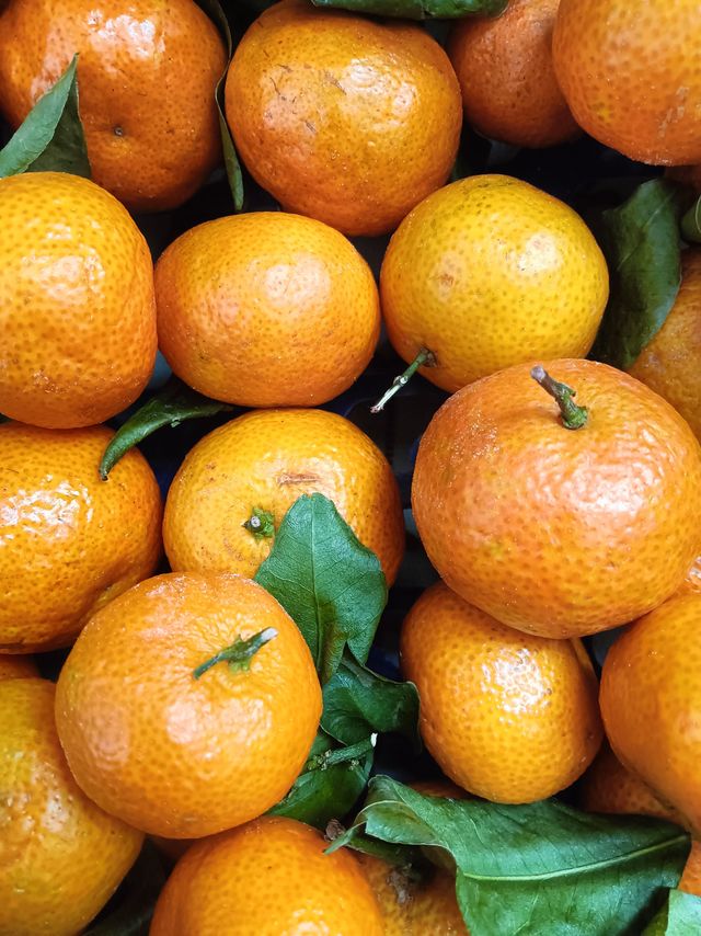 超级好吃的小桔子🍊