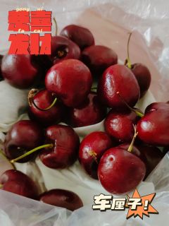 红红的车厘子谁不喜欢吃呢~