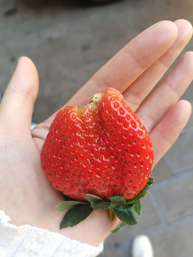 又到吃草莓🍓的季节啦