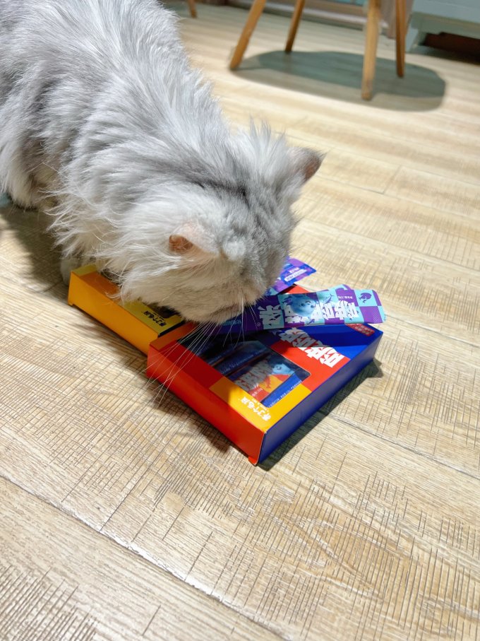 养了个毛孩猫粮