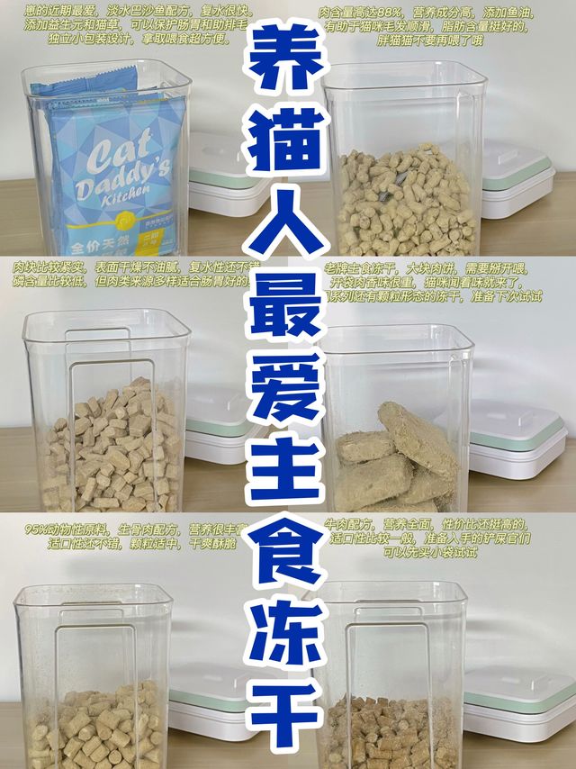 ​养猫人最爱主食冻干推荐｜真实自用分享