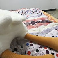 可爱的鸭子抱枕 巨舒服巨可爱