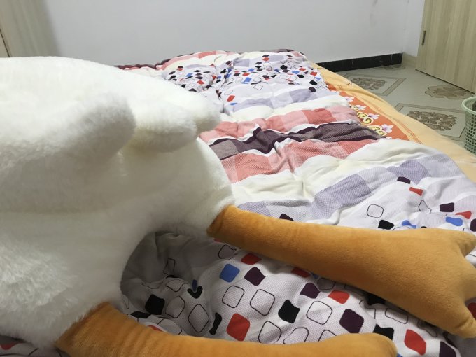 尤朵拉毛绒布艺