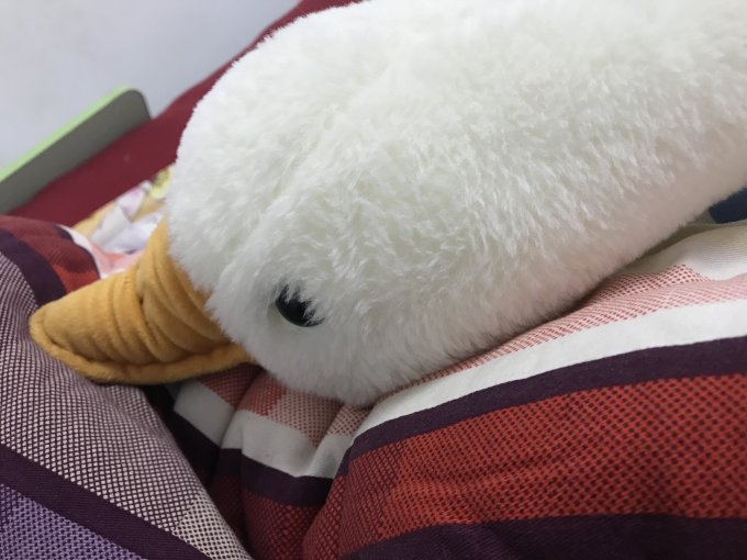 尤朵拉毛绒布艺