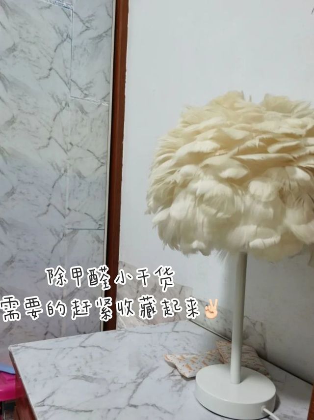 除甲醛小干货，需要的赶紧收藏起来