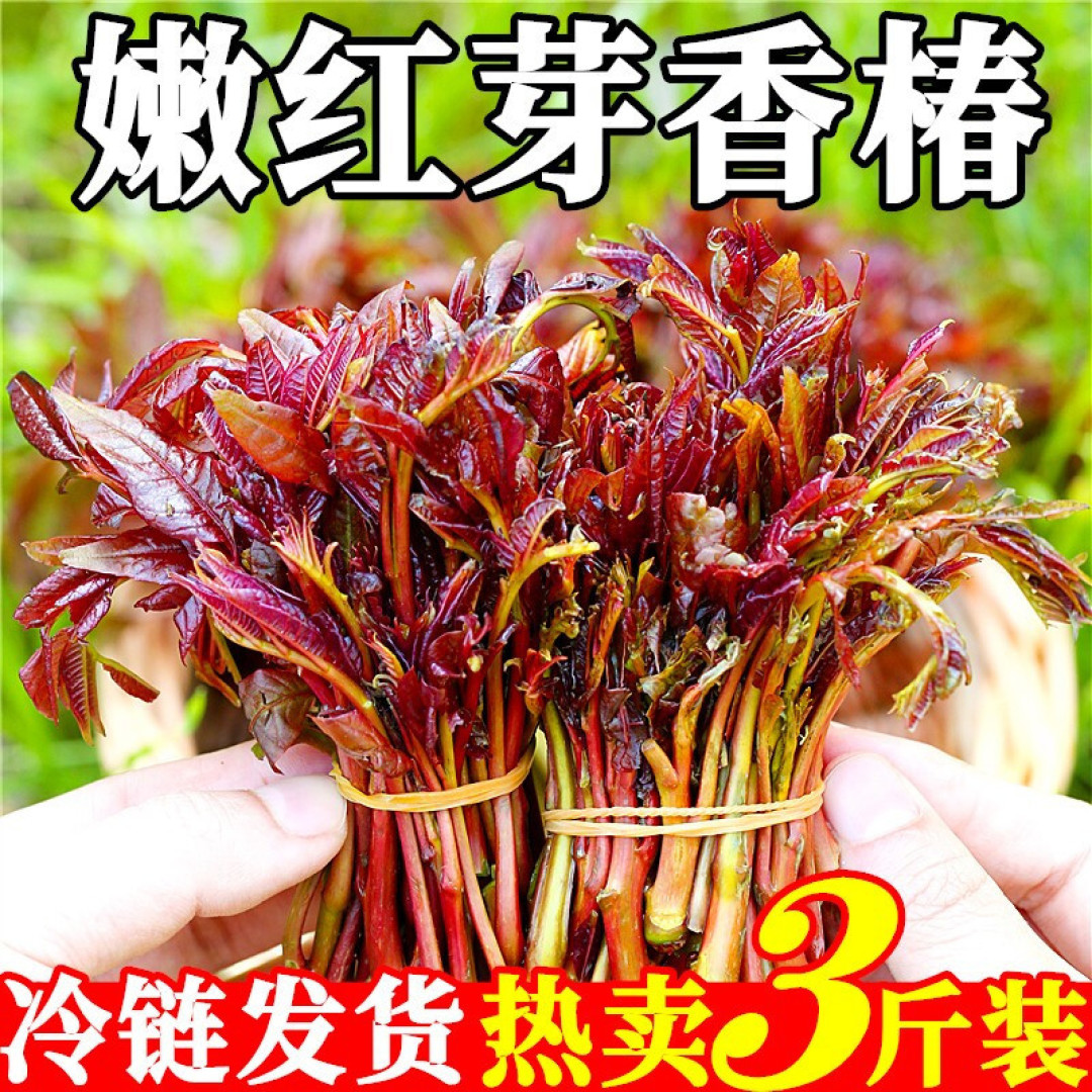 2月4日立春，这5种“春芽”记得吃，新鲜味美，应季而食顺利迎春