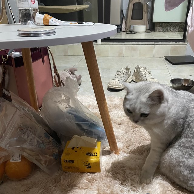 不过如此吧，买了这款小的桌子