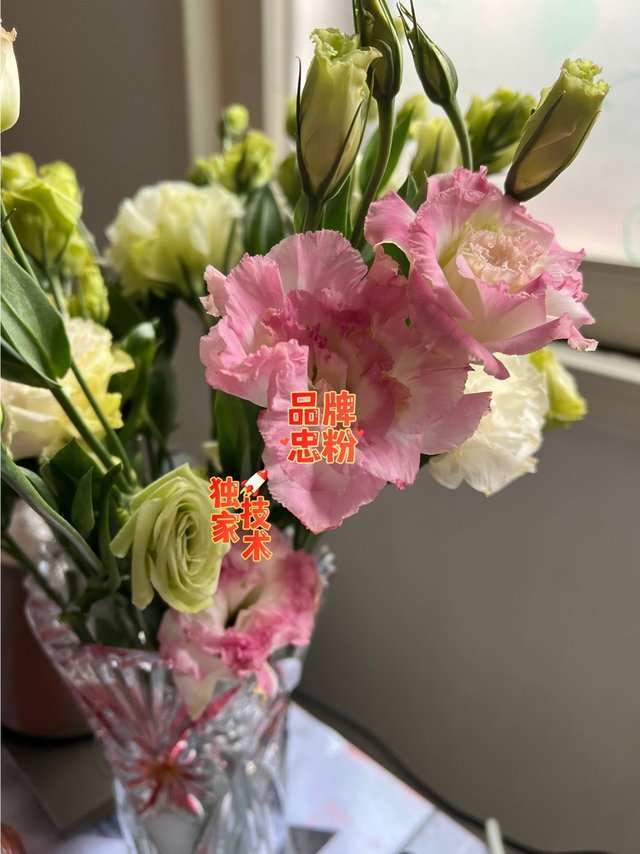家庭生活好装饰推荐之一玫瑰鲜花