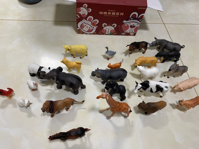 动物模型