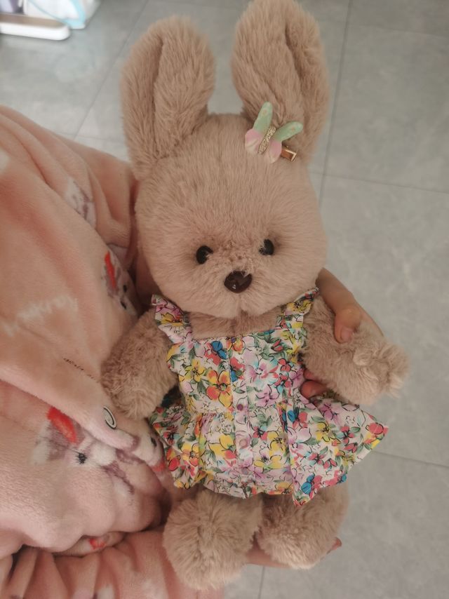 呆萌小兔