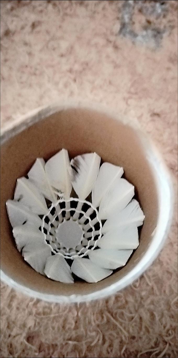 羽毛球