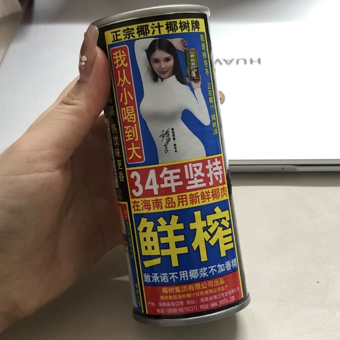 椰树乳饮料