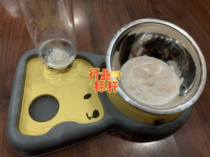 宠物食具水具