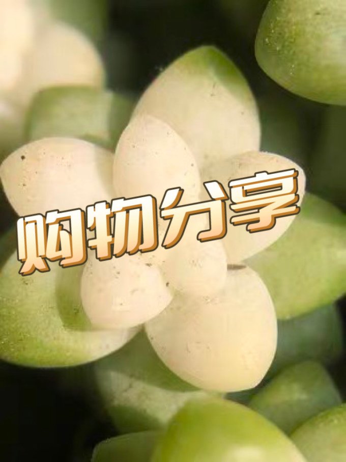 手机镜头