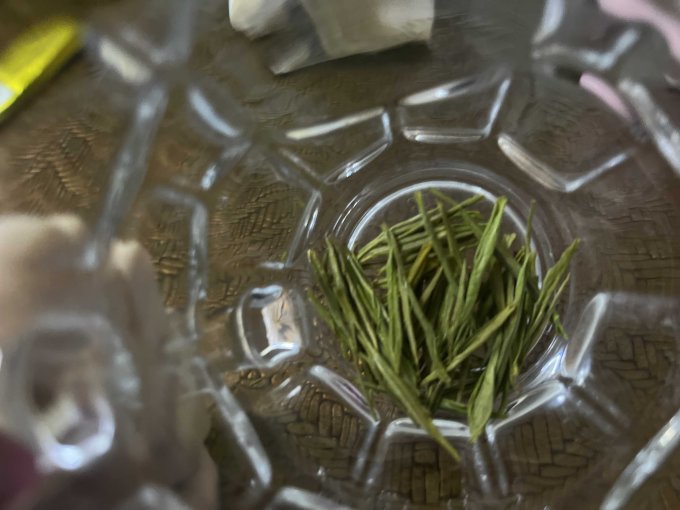 绿满堂绿茶