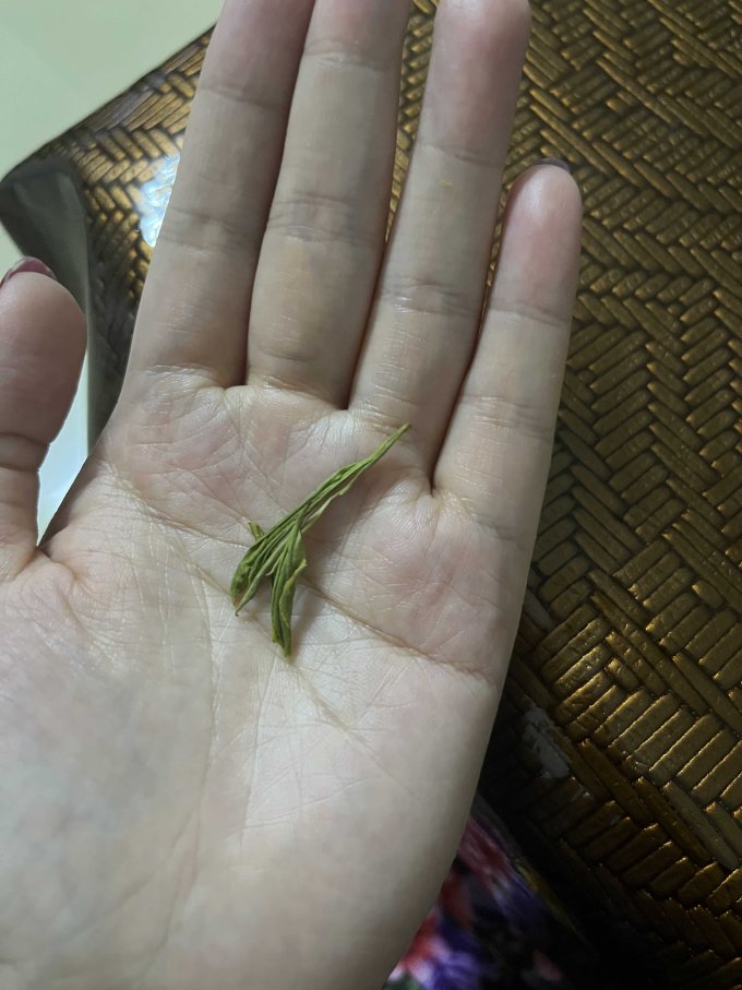 绿满堂绿茶