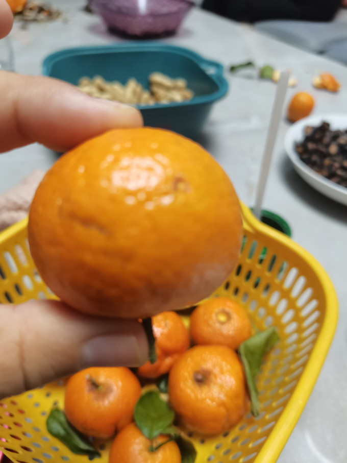 什谷丰橘/桔