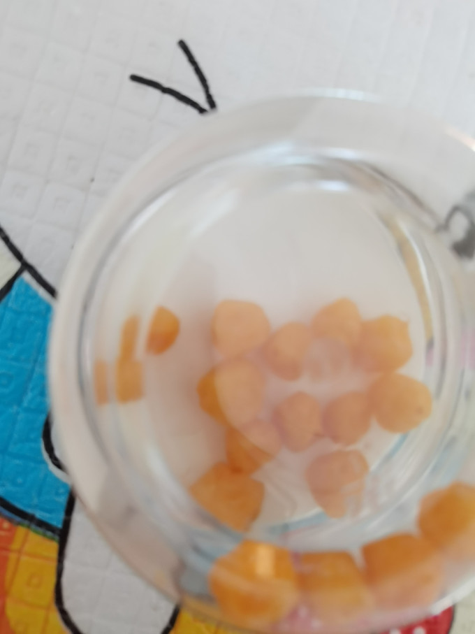 京奈果子蜜饯果脯