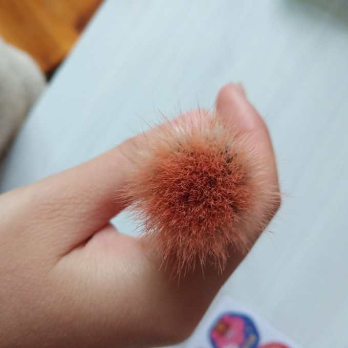 化妆刷