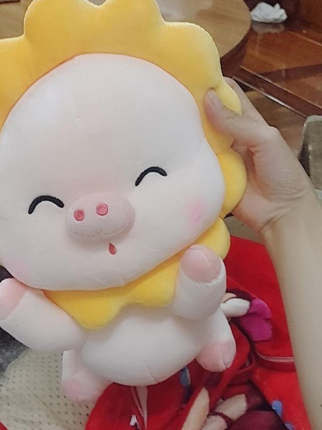 哇塞，老夫的少女心都快溢出来了❤️