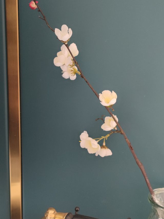 以假乱真的装饰品—腊梅花