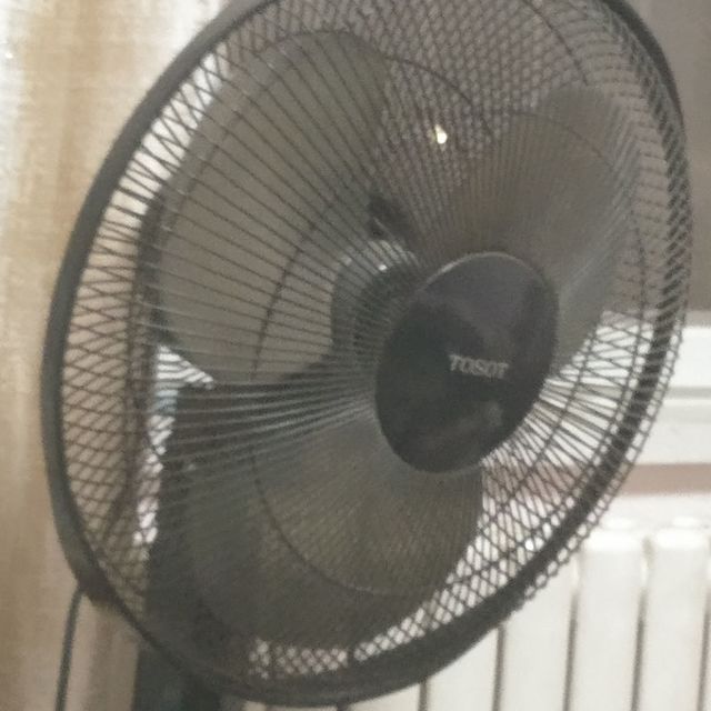 🌷又要到夏天了马上