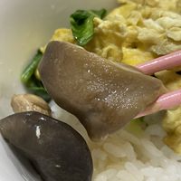 平菇还是很营养健康的！