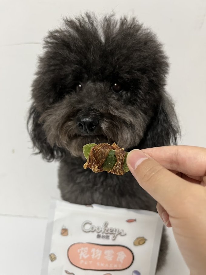 酷奇思猫咪磨牙洁齿