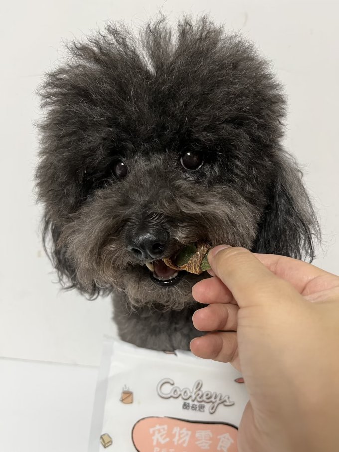 酷奇思猫咪磨牙洁齿