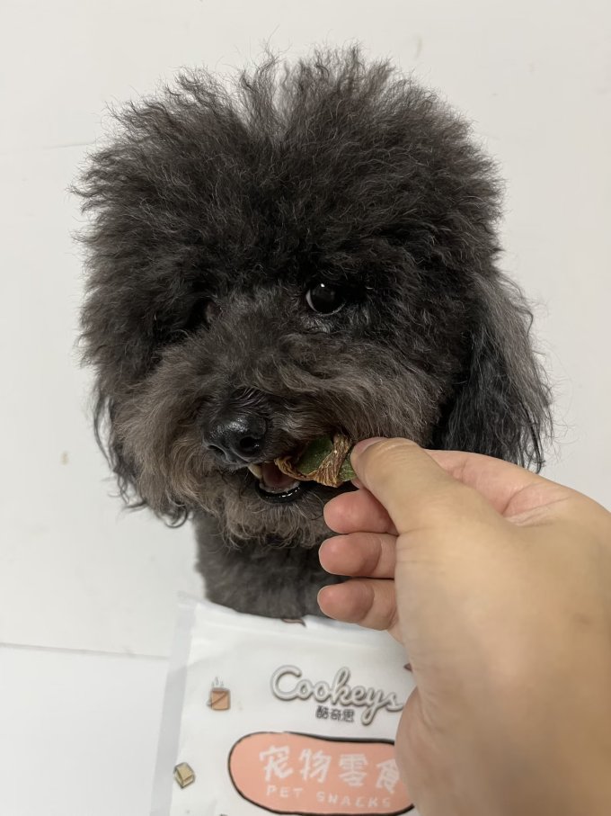 酷奇思猫咪磨牙洁齿