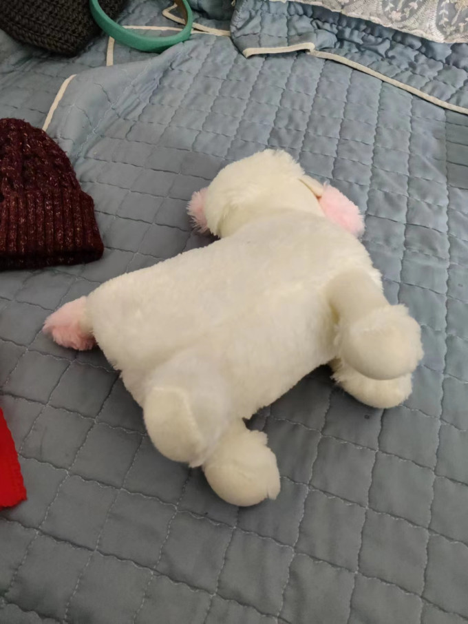 毛绒布艺