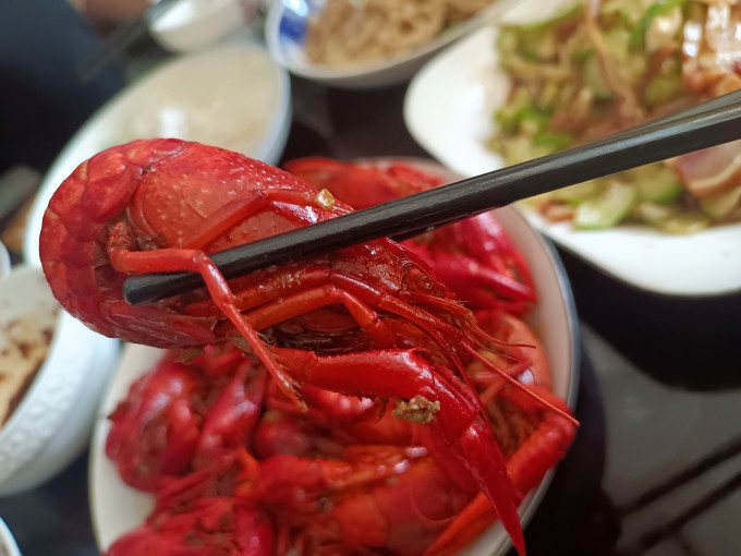 天海藏虾类