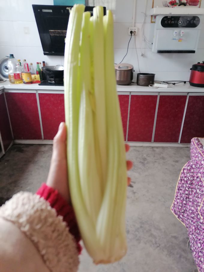 蔬果哆蔬菜