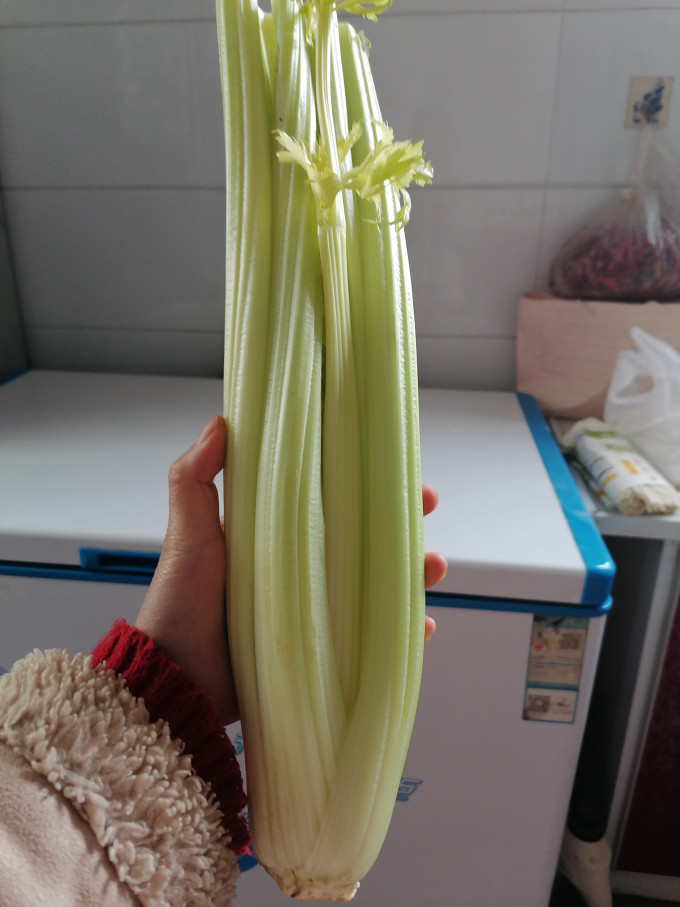 蔬果哆蔬菜