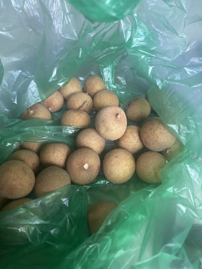 蜜饯果脯