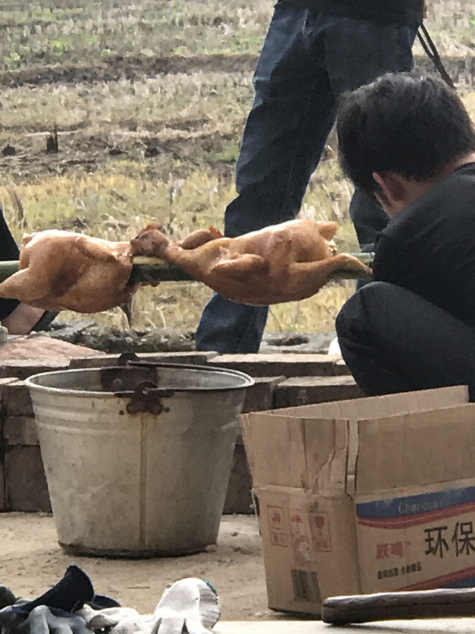 京觅家禽类