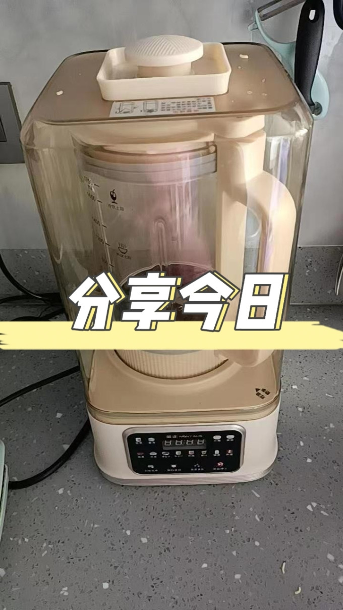 金正破壁机