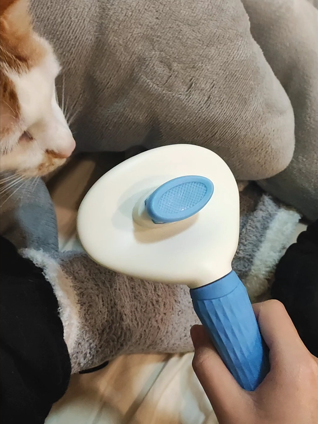 这梳毛器可救我大命了!长毛猫的救星~
