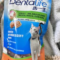 又来给大家推荐猫猫好物了