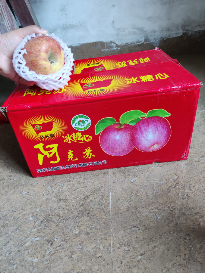 探疆奇遇苹果