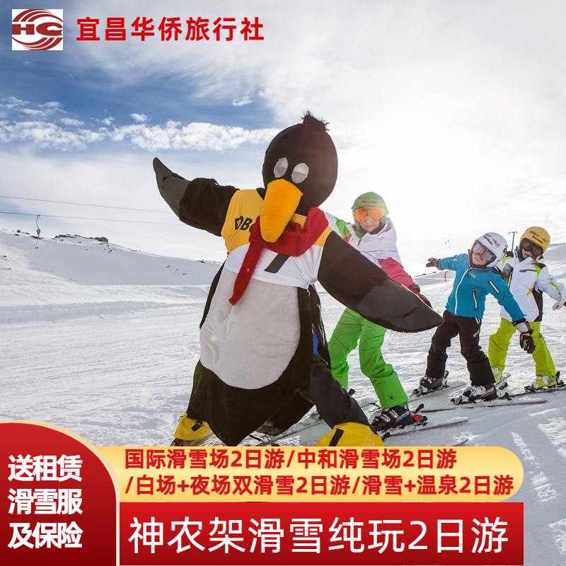 你在滑雪场邂逅过金丝猴🐒吗？
