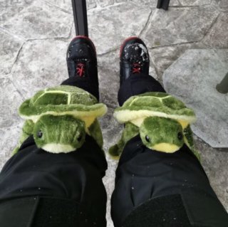 滑雪的安全保护还是要有的，买个乌龟送媳妇