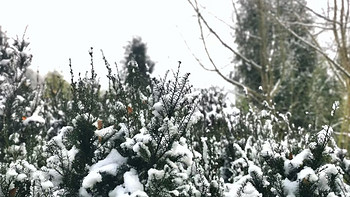 南方小县城，只能这样玩雪了