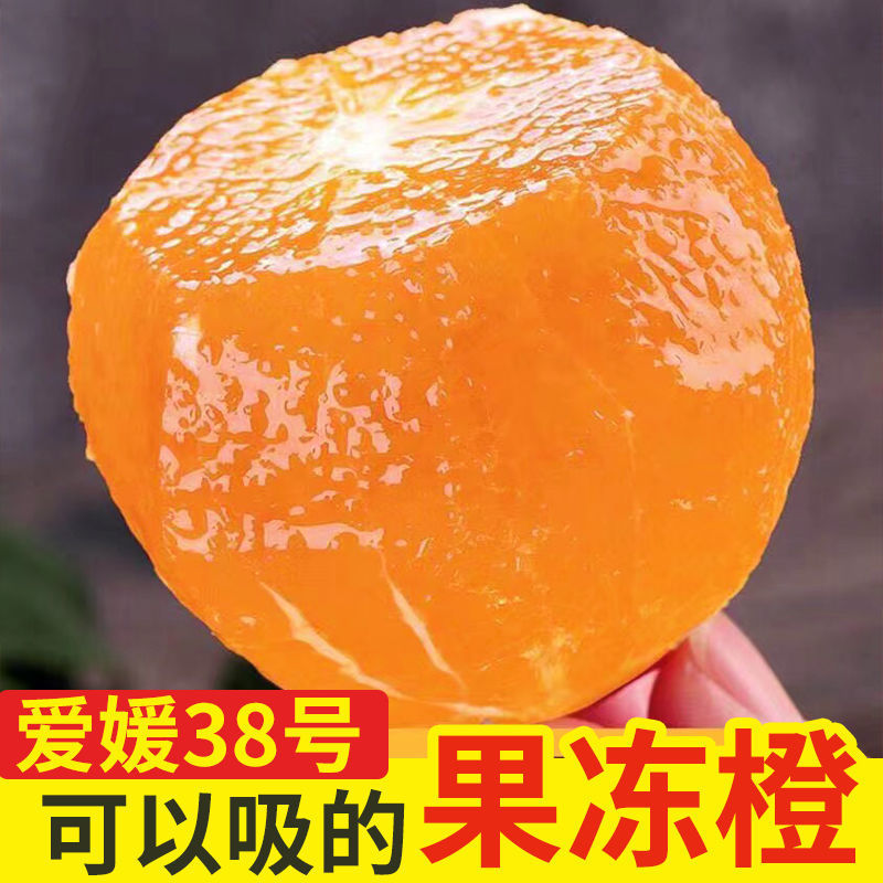 没错，我又又又买果冻橙了。