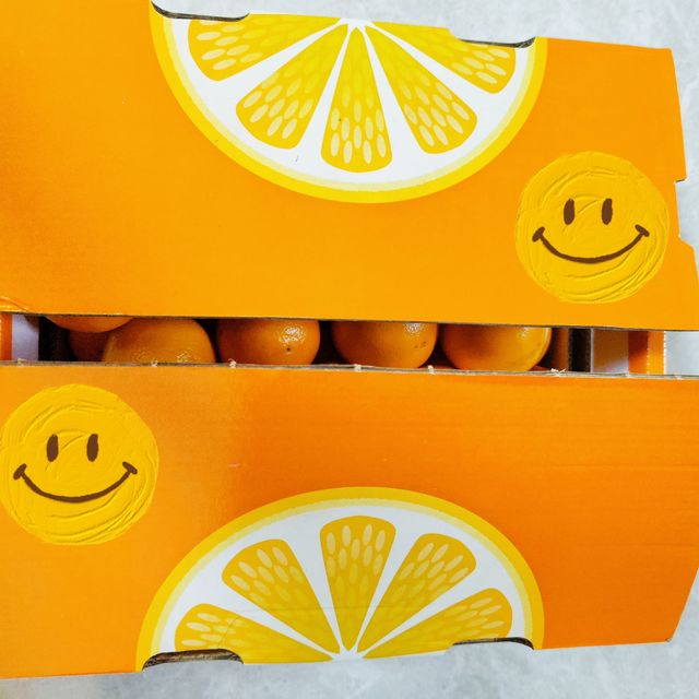 可爱的圆橙子甜甜的🍊